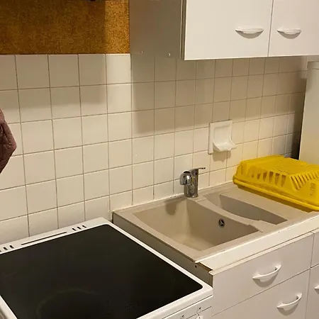 Appartement Cosy A Super Avec Parking Et Balcon - Fr-1-814-55 Besse-et-Saint-Anastaise